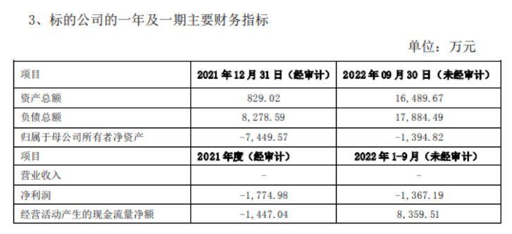 阿里锂源主要财务数据